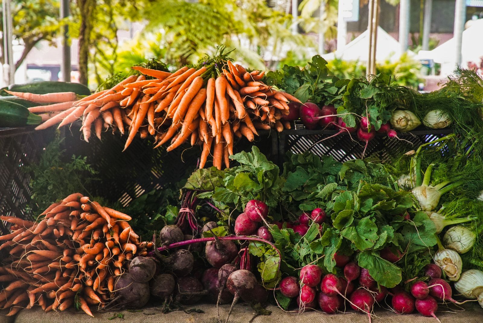 Bunches of fresh carrots, radishes and greens piled high on a market stall, the farm-to-table side of places to eat in Loxahatchee