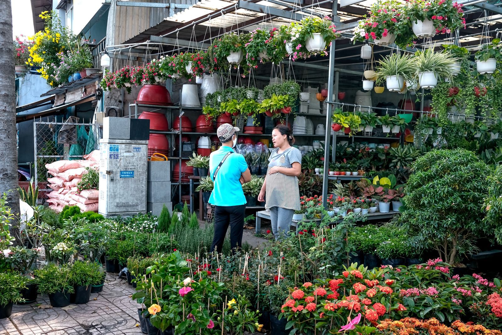 Two shoppers among racks of hanging baskets and flowering plants at an open-air garden nursery, the kind of plant business found along the roads of Loxahatchee Groves